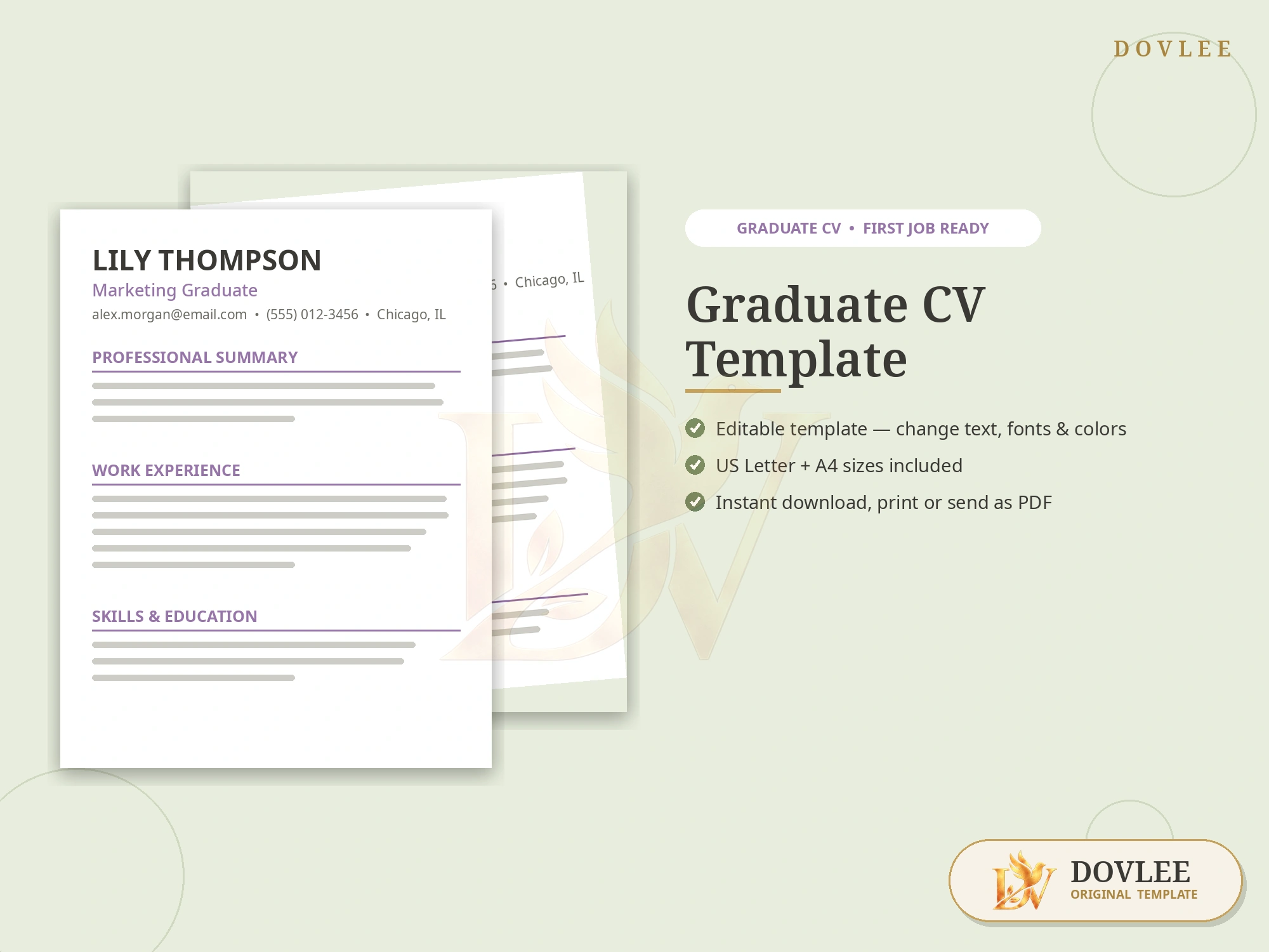 Graduate CV Template styled digital product preview
