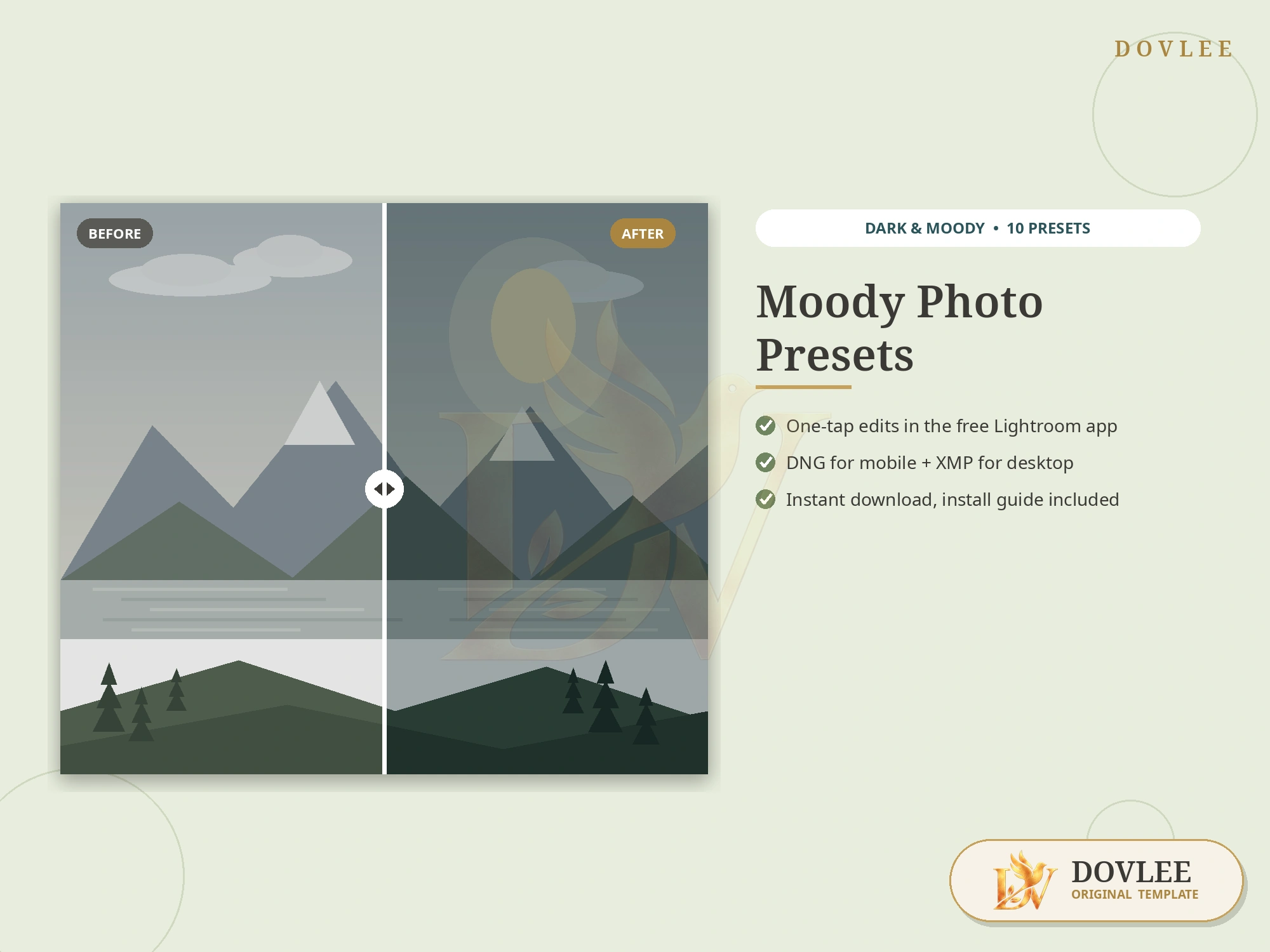 Moody Photo Presets styled digital product preview