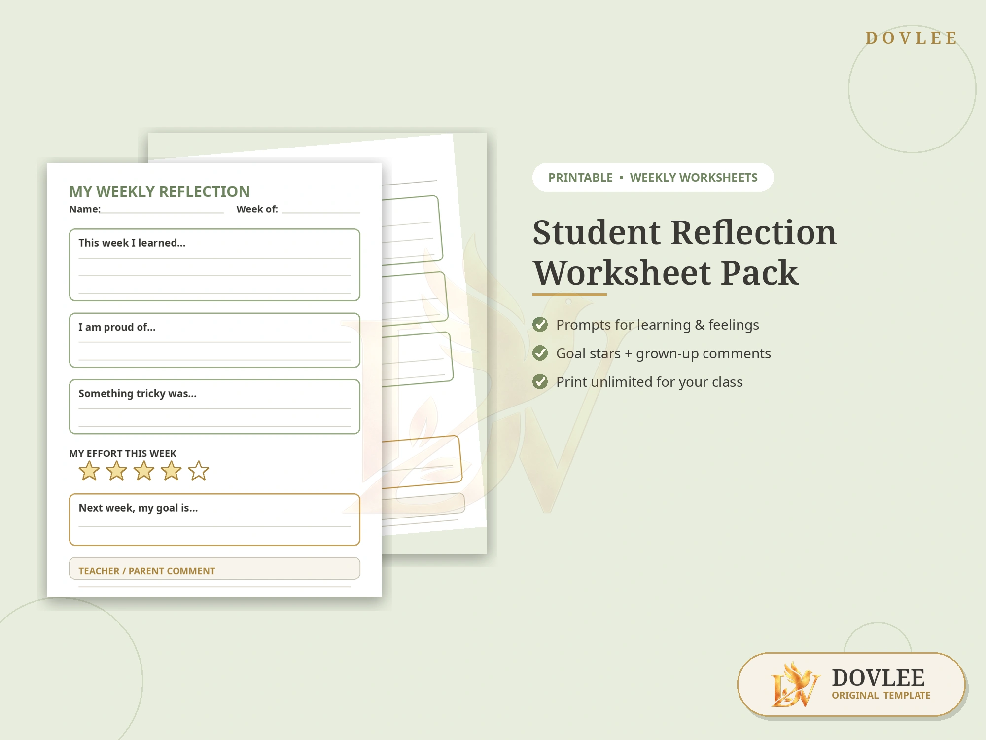 Student Reflection Worksheet Pack styled digital product preview